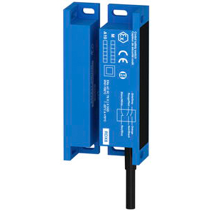 COMITRONIC-BTI ATEX開關(guān) RDX8 COMITRONIC-BTI ATEX開關(guān) RDX8