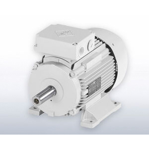 VEM 交流電機 VEM 交流電機