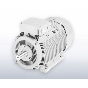 VEM 異步交流發電機