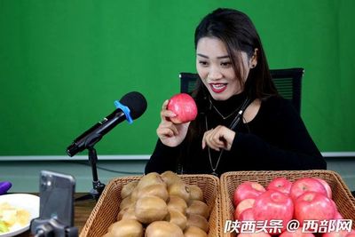 專業(yè)合作社引領(lǐng)，果農(nóng)增收致富路——扶風(fēng)獼猴桃實(shí)現(xiàn)全年供應(yīng)與銷售新突破