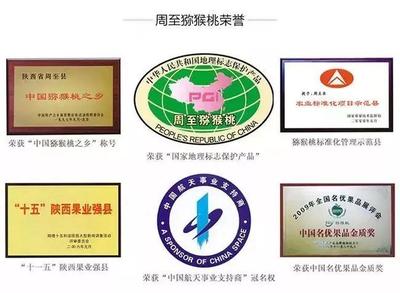 周至獼猴桃盼銷路 萬(wàn)千兒女的呼喚，您的援手見(jiàn)真情